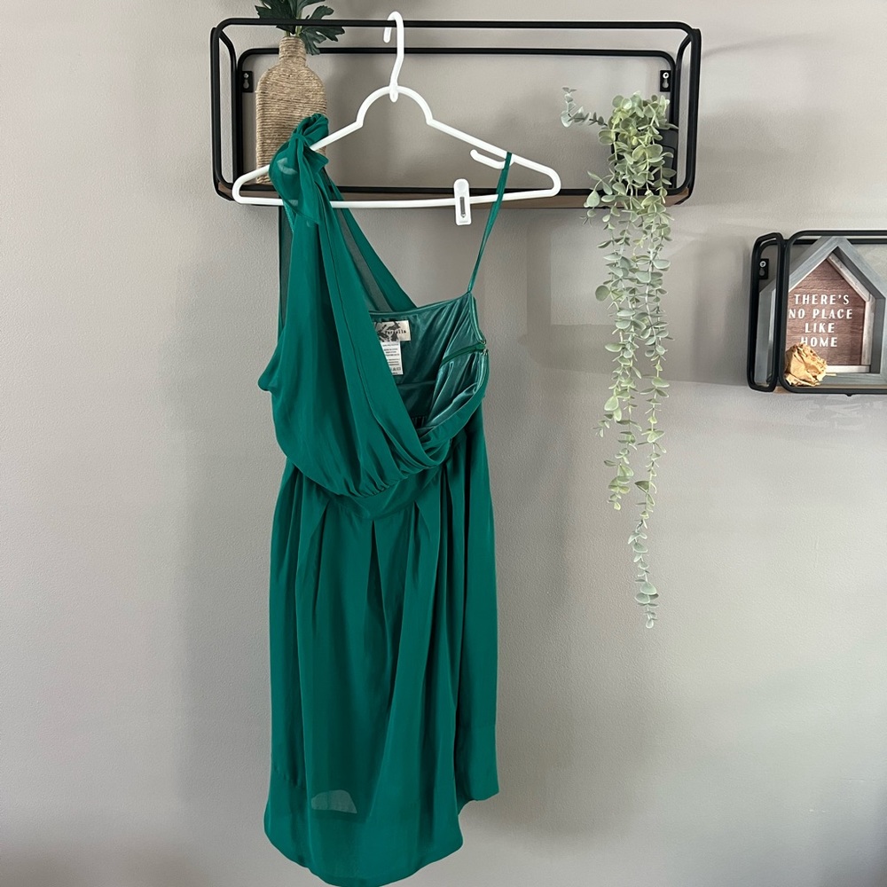 Paraella one shoulder bridesmaid Dress